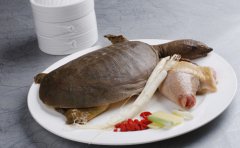 ��Ϧ�ڹ�����β��� �Ƽ��������ʳ��
